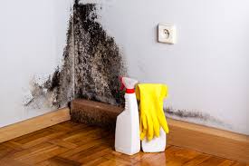 Best Attic Mold Removal  in Brices Creek, NC